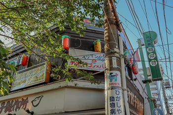 Street Corner in Setagaya, Tokyo